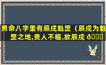 男命八字里有辰戌魁罡（辰戌为魁罡之地,贵人不临,故辰戌 🐅 二支无天乙 🍀 贵人）